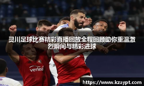 mk体育官网入口
