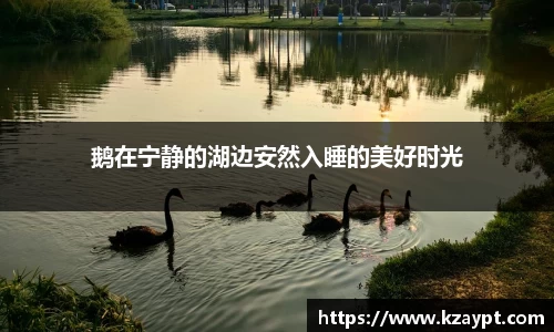 mk体育在线官网