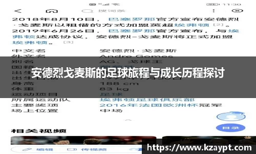 mk体育官网入口